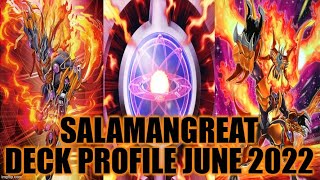 SALAMANGREAT DECK PROFILE JUNE 2022 YUGIOH [upl. by Papert697]