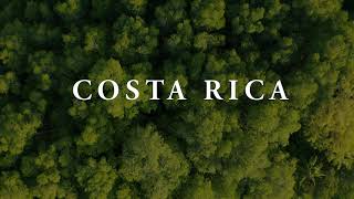 Discovering the Wildlife of Costa Rica  The Wildest Place in Central America 4K [upl. by Verena]