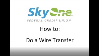 How Do I Send a Domestic Wire Transfer to Kraken from Bank of America [upl. by Woodman244]