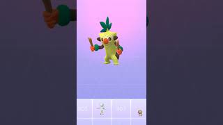 Grookey Evolution pokemon [upl. by Caesar]