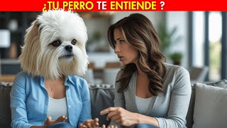 ¿ESTÁS HABLANDO CON TU PERRO 👉 ESTO ES LO QUE REALMENTE ENTIENDE🐱🔥 [upl. by Alahcim]