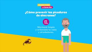 ¿Cómo prevenir las picaduras de alacranes [upl. by Rauscher62]