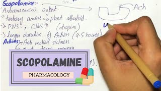 SCOPOLAMINE  Mechanism Uses Adverse effects Pharmacokinetics PHARMACOLOGY [upl. by Aihsemat]