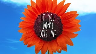 Danny Fornaris  If You Dont Love Me Feat Jani Sánchez  LYRIC VIDEO [upl. by Searby]