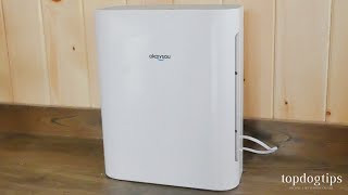 Review Okaysou Apollo HEPA Air Purifier [upl. by Akinor]