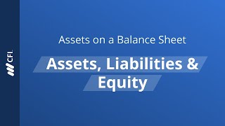 What Are Assets on a Balance Sheet [upl. by Haelat]