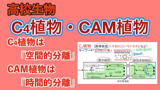 高校生物「C4植物・CAM植物」 [upl. by Oemor]