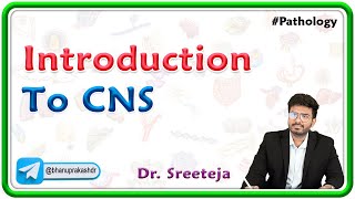 1 Introduction To CNS Pathology  USMLE Step 1🧠💡 [upl. by Twelve787]