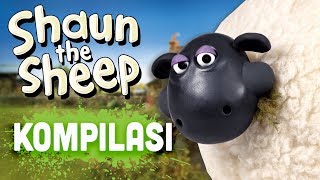 Shaun the Sheep  Season 4 Compilation Episodes 1620 [upl. by Arehsat]