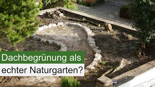 Naturgarten auf der Garage So legt ihr das an [upl. by Ahsemak]