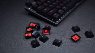 RAPOO V500 Alloy Mechanical Gaming Keyboard [upl. by Atinnod]