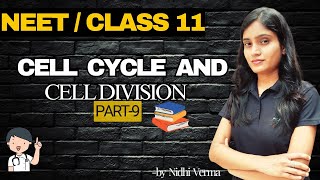 MEIOSIS 1  Cell cycle and cell division part 9  NEET class 11th  Nidhi Verma [upl. by Enegue974]