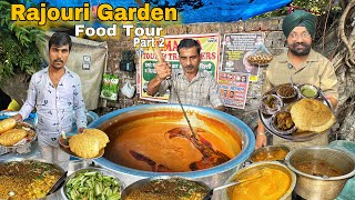 Top 5 Famous street food in Rajouri garden  Chole bathure  rajma chawal  luchi  Tandoori rice [upl. by Yoc842]