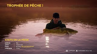 Fishing Sim World® Pro Tour Gillhams Fishing Resort THAÏLANDE Espéces Ray [upl. by Burnight203]