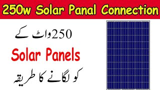 250W Poly Solar Panels Connection In UrduHindi [upl. by Nerra]