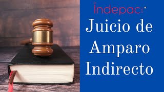 5 Juicio de Amparo Indirecto Partes plazo improcedencia y sobreseimiento en el Amparo Indirecto [upl. by Behka]