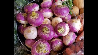 VEGISODE Purple Top Turnip Storage and Braised Turnips Recipe [upl. by Far]