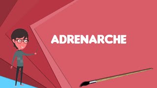 What is Adrenarche Explain Adrenarche Define Adrenarche Meaning of Adrenarche [upl. by Greyso]