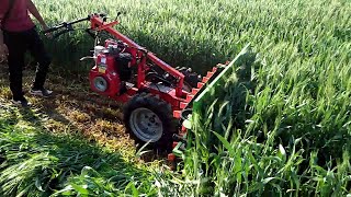 grass cutter machine [upl. by Elleron]