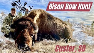 BISON BOW HUNTMassive Old Buffalo at Close Range Bishop Archery Broadhead [upl. by Ahsirhcal]