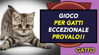 GIOCO ECCEZIONALE PER GATTI [upl. by Adla]