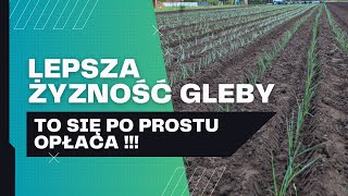 Lepsza żyzność gleby Dla warzyw to bardzo ważne [upl. by Merat164]