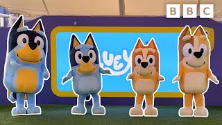 BLUEY THEME TUNE Boogie with Bluey  CBeebies [upl. by Ellyn]