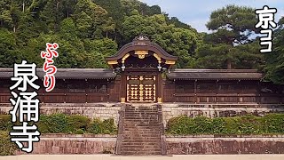 【京都おすすめ】圧倒的！ ぶらり泉涌寺【京のココ見といやす】【Japan Travel・Kyoto Sightseeing】 [upl. by Ecnarual]