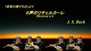 J S Bach Ricercar a 6 from Musikalisches Opfer  「音楽の捧げもの」より６声のリチェルカーレ 【4FL AFL BFL】 [upl. by Salem299]