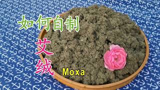 如何自制艾绒 千万不要扔了你种的艾草 太有用了 Homemade Moxa [upl. by Ilajna597]