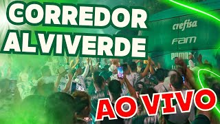 CORREDOR ALVIVERDE AO VIVO  PALMEIRAS X BOTAFOGO [upl. by Yecram]