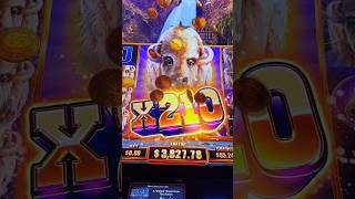 Buffalo Chief Platinum Slot Machine Las Vegas HandPay 20 Minute Bonus Play [upl. by Martreb]