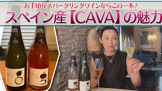 スペイン産スパークリングワイン【CAVA】の魅力 [upl. by Erl508]