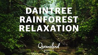 Relax in Australias Daintree Rainforest [upl. by Atig785]