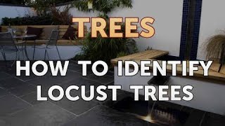 How to Identify Locust Trees [upl. by Mitinger299]