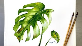 Easy Watercolor Painting  Monstera Plant LeavesTutorial for Beginner Step by Step [upl. by Etnahc]