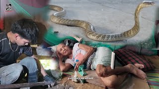 MAKAMANDAG NA COBRA SA SILONG NG LOLA [upl. by Ibur932]