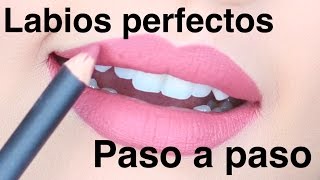 Labios perfectos PASO A PASO para PRINCIPIANTES [upl. by Niran]