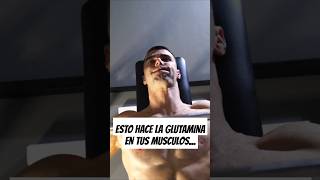 ¿CÓMO actúa la GLUTAMINA en tus MUSCULOS🚀 [upl. by Marybelle110]