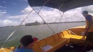 Swan Boat Hire Maroochydore Sunshine Coast 3 [upl. by Llenram]