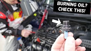 WHY KIA BURNS ENGINE OIL INCREASED OIL CONSUMPTION KIA SOUL RIO FORTE SORENTO OPTIMA SPORTAGE [upl. by Chaney]