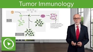 Multiple Myeloma  signs and symptoms pathophysiology treatment [upl. by Eirehc]