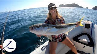 DEEP SEA FISHING NEW ZEALAND Yellowtail Kingfish John Dory Ep 114 [upl. by Mairem]