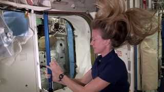 Astronaut Uses Single Hair To Show Newtons Laws  Video [upl. by Noguchi]