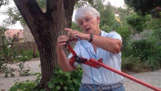 The pole pruner use and repairing [upl. by Kabob]