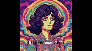 Amirreza Kheiri  Hamzaboonam Bash [upl. by Annav]