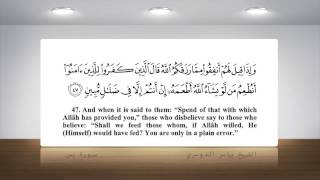 Surah Ya Sin Yasser Al Dosari [upl. by Acirretal523]