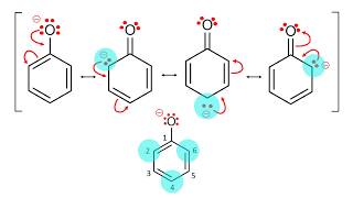 Phenoxide Anion Resonance [upl. by Zelde791]