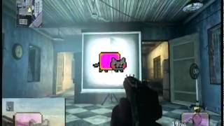 Great Nyan cat theme song Black Ops [upl. by Zzabahs]