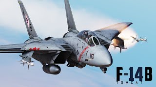 DCS F14  PreOrder  Gameplay Reveal Trailer  OUT NOW [upl. by Drawoh177]